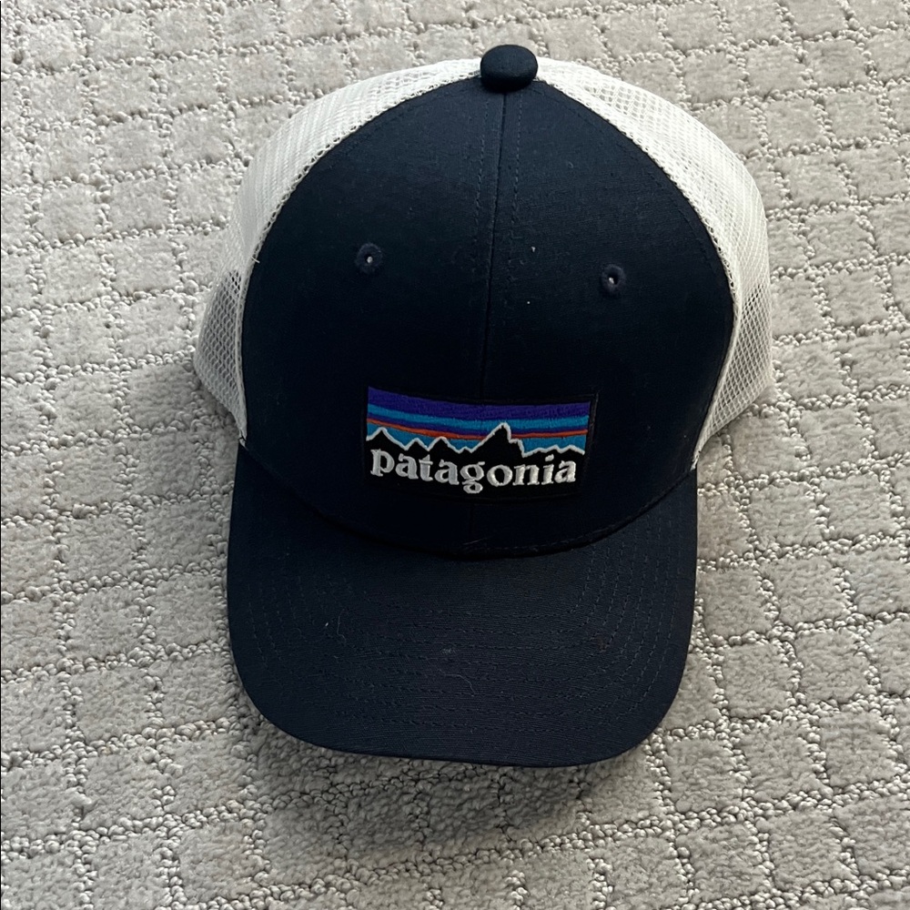 Patagonia Navy and Cream Trucker Hat